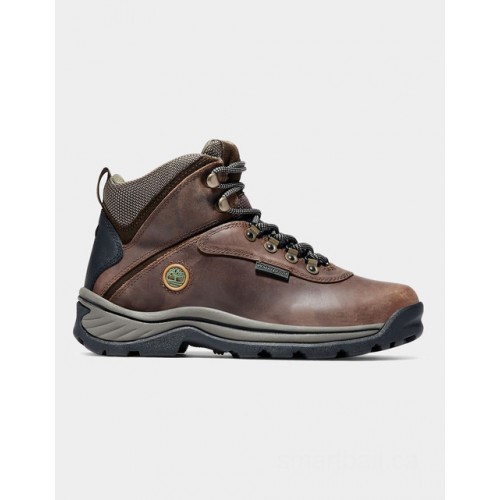 Timberland white ledge hiker for women in brown