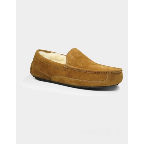 UGG men's ascot slippers (chestnut)