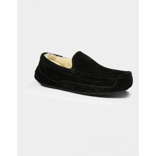UGG men's ascot slippers (black)