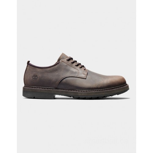 Timberland squall canyon plain-toe oxford for men in dark brown