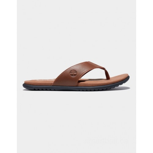 Timberland kesler cove toe-bar sandal for men in brown