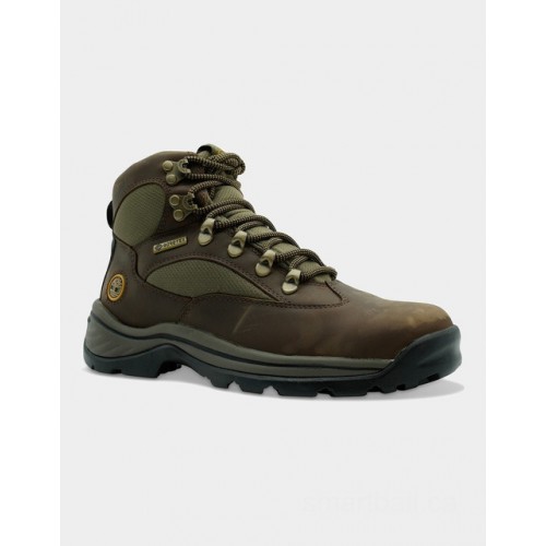 Timberland mens chocrua trail gtx boots (brown)